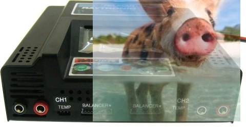 Ładowarka 2-kanałowa Raytronic C60 2x500W Ładowarka 2-kanałowa Raytronic C60 2x500W