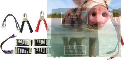 Ładowarka 2-kanałowa Raytronic C60 2x500W Ładowarka 2-kanałowa Raytronic C60 2x500W