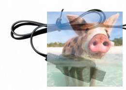 Ładowarka 9,6V 250 mAh Tamiya 3pin.