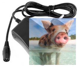 Ładowarka LiPo 2S 8.4V 1000mA Żeński Jack do Eachine VR D2