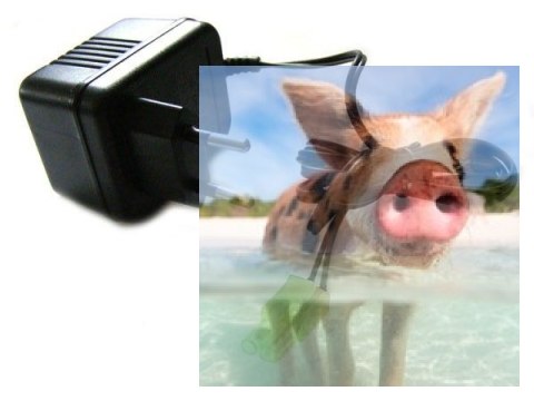 Ładowarka NiCd / NiMh 9.6V 250mA Mini Tamiya