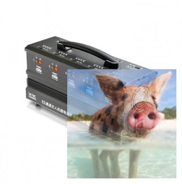 Ładowarka PC1000 10X100W