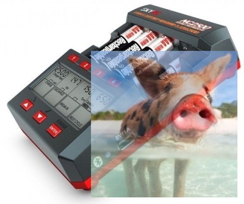 Ładowarka SkyRC NC2500 AA/AAA NiMH/NiCD Ładowarka SkyRC NC2500 AA/AAA NiMH/NiCD