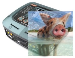 Ładowarka SkyRC Q200 100W Bluetooth