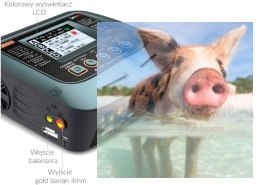 Ładowarka SkyRC Q200 100W Bluetooth
