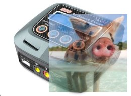 Ładowarka SkyRC S60 60W 2-4S LiPo, Zasilanie 230V