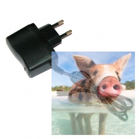 Ładowarka sieciowa 4.8V 250mA Ładowarka sieciowa 4.8V 250mA