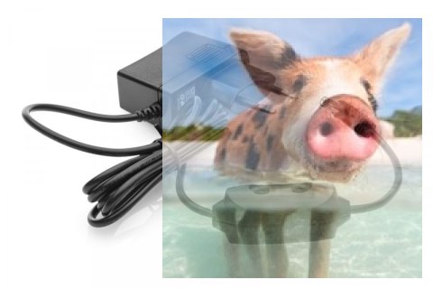 Ładowarka sieciowa NiMH 4.8V 500mA Ładowarka sieciowa NiMH 4.8V 500mA