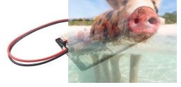 Multi-adapter ładujący