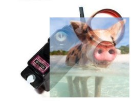 Oryginalne serwo MG16R