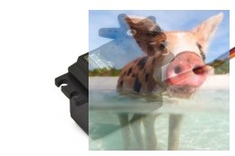 Oryginalne serwo SG5010 (standard, 2kg/4.8V, 0.2sek/60*)