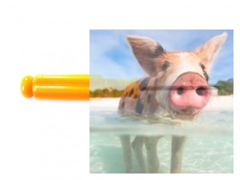 Precyzyjny śrubokręt krzyżakowy - W608-7-022