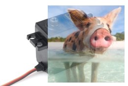 SAVOX Cyfrowe serwo wysokonapięciowe