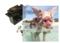 Serwo Futaba S3003 (Standard, 4.1kg/6.0V, 0.19 sec./60*)