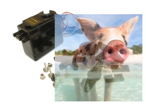 Serwo Futaba S3003 (Standard, 4.1kg/6.0V, 0.19 sec./60*) Serwo Futaba S3003 (Standard, 4.1kg/6.0V, 0.19 sec./60*)