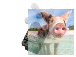 Serwo HS-5065MG (1.8kg/4.8V, 0.14sek/60*)