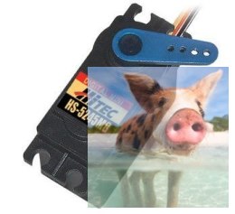 Serwo HS-5245MG DIGITAL