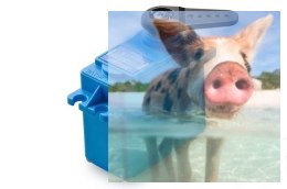 Serwo HS-5646WP wodoszczelne