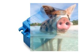 Serwo HS-646WP wodoszczelne (standard, 9.6kg/6.0V, 0.20sek/60*)