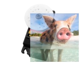 Serwo HS-7245MH (mini, 6.4kg/7.4V, 0.11sek/60*)