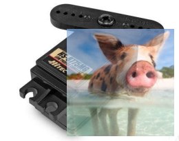 Serwo HS-8775MG (micro, niski profil, 8.4V, 9.0kg/6.0V, 0.10sek/60*)