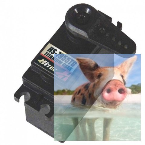 Serwo Hitec HS-7955TG