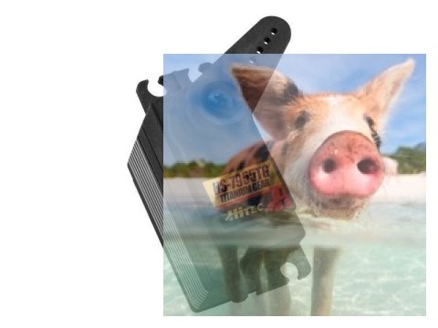 Serwo Hitec HS-7955TG