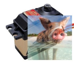 Serwo MKS BLS6650 (Gimbalowy, Obrót 360+, Niskie luzy i gładka praca, 6V, 0.12s/60)