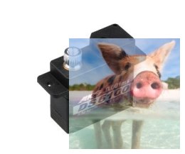 Serwo MKS DS6100 (Mikro, 5V, 0.11s/60, 3.32kg-cm)