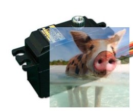 Serwo MKS DS6630 (Gimbalowy, Obrót 360+, Niskie luzy i gładka praca, 6V, 0.09s/60)