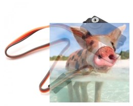 Serwo MKS DS92A+ (0.070s/60, 2.40kg-cm)