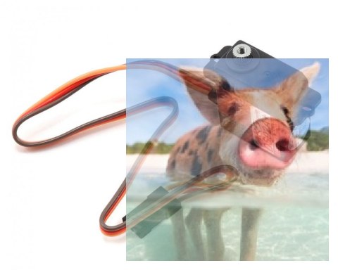 Serwo MKS DS92A+ (0.070s/60, 2.40kg-cm)