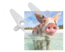 Serwo MKS DS92A+ (0.070s/60, 2.40kg-cm)