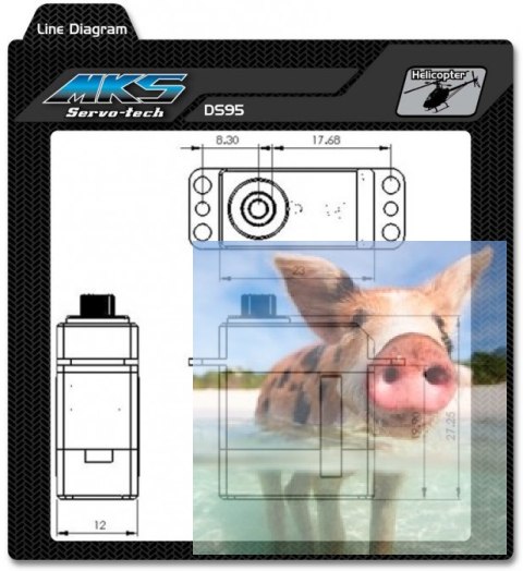 Serwo MKS DS95i (6V, 0.038s/60, 2.40kg-cm)