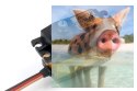 Serwo Savox SC-1258 Titanium Digital (12kg/6.0V, 0.8sek/60*)