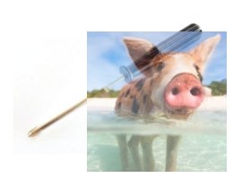 Śrubokręt gwiazdkowy 2.0mm 90mm