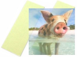 Taśma piankowa do montażu serw dwustronna 1.5mm x 75mm x 230mm (2szt)