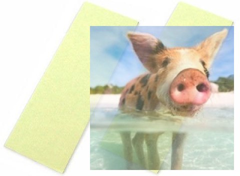 Taśma piankowa do montażu serw dwustronna 1.5mm x 75mm x 230mm (2szt)