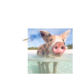 Wyważarka ręczna (dwa stożki)