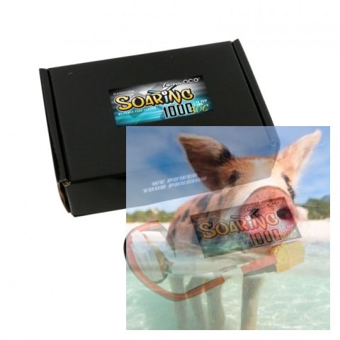 1000mAh 7.4V 30C SOARING Gens Ace 1000mAh 7.4V 30C SOARING Gens Ace