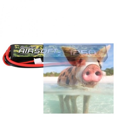 1250mAh 11.1V 25/50C Gens Ace Airsoft Gun 1250mAh 11.1V 25/50C Gens Ace Airsoft Gun