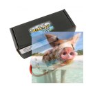 1300mAh 7.4V 30C SOARING Gens Ace - XT60