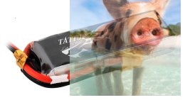 1800mAh 11.1V 75C TATTU Gens Ace