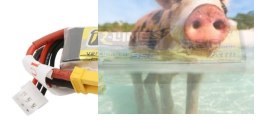 550mAh 7.4V 95C TATTU R-Line Gens Ace