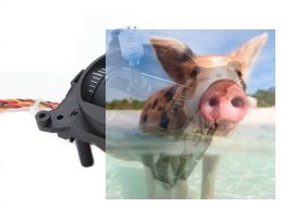 FrSky gimbal PR10 do nadajnika Taranis X9D/Plus