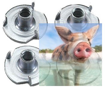 Nakrętka kłowa M6 - 10szt.