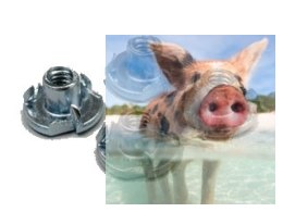 Nakrętka kłowa M6 - 10szt.