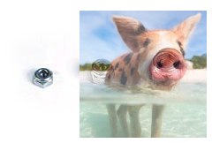 Nakrętka samokontrująca M5 - 10szt.