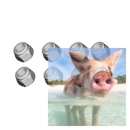 Nylonowa nakrętka M3 - 68031