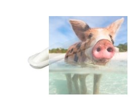 Owiewka bowdena/popychacza - Biała - 2 szt